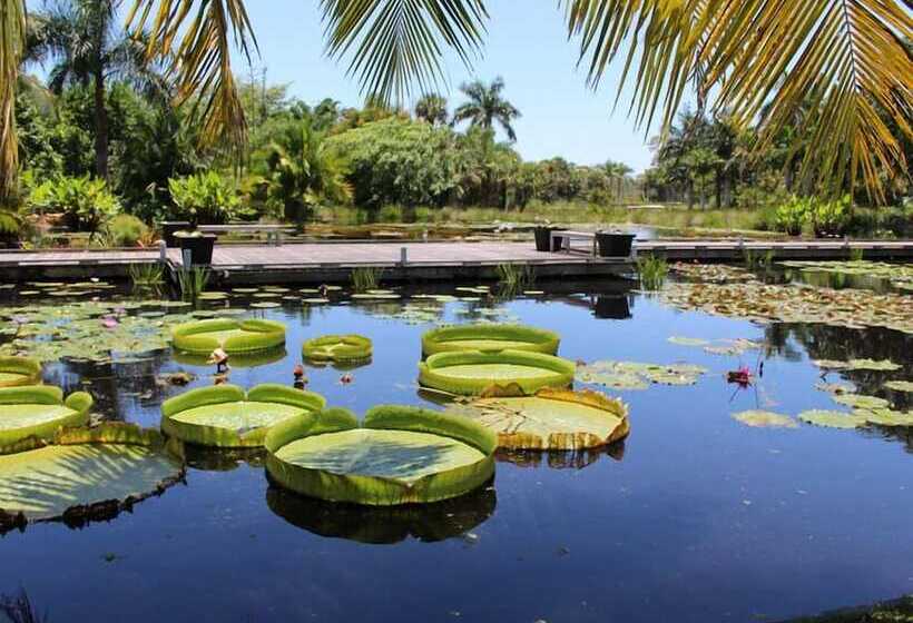 Naples Grande Beach Resort