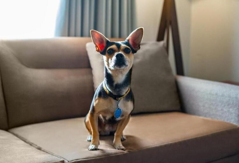 Residence Inn Lexington North