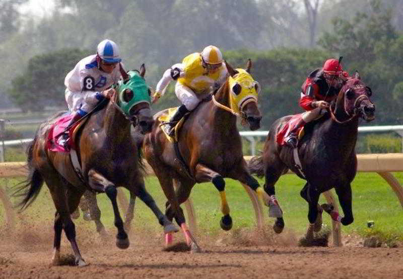 Residence Inn By Marriott San Francisco Airport San Mateo