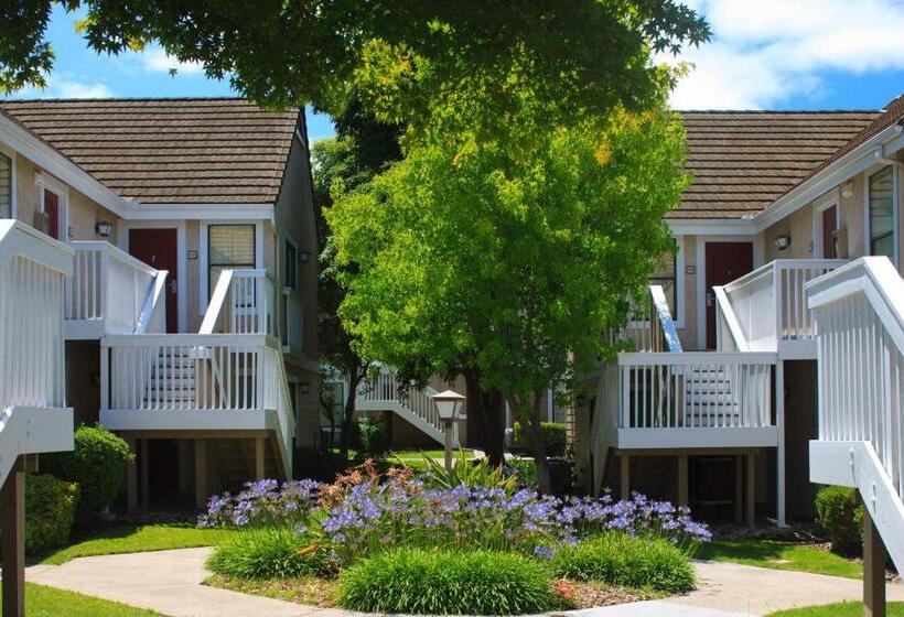 Residence Inn By Marriott San Francisco Airport San Mateo