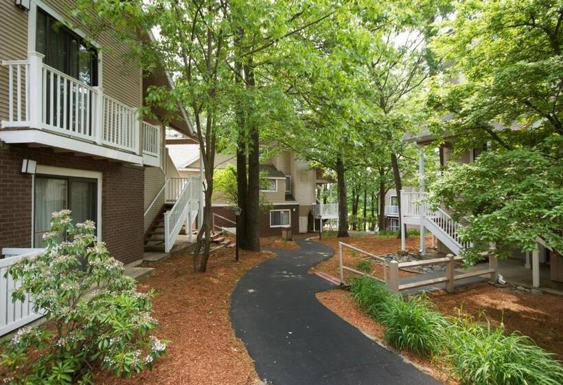 Residences At Daniel Webster