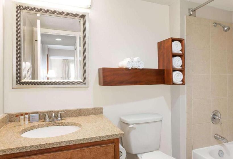 住所 Hawthorn Suites By Wyndham North Charleston