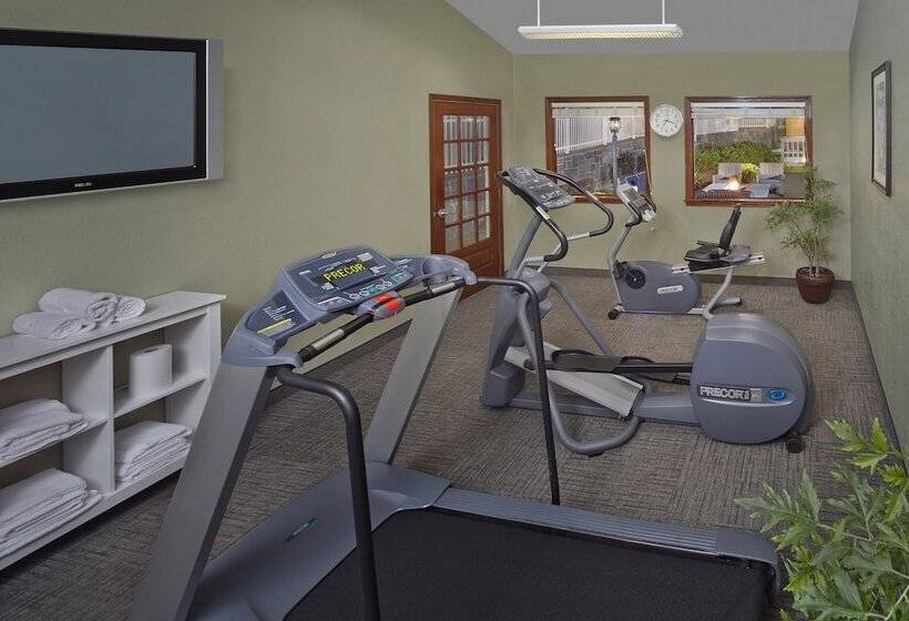 اقامتگاه New Haven Village Suites