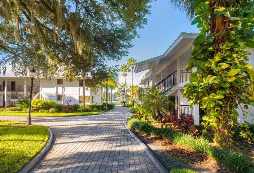 Saddlebrook Golf Resort & Spa Tampa North Wesley Chapel