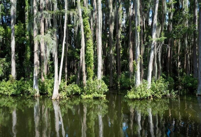 Saddlebrook Golf Resort & Spa Tampa North Wesley Chapel