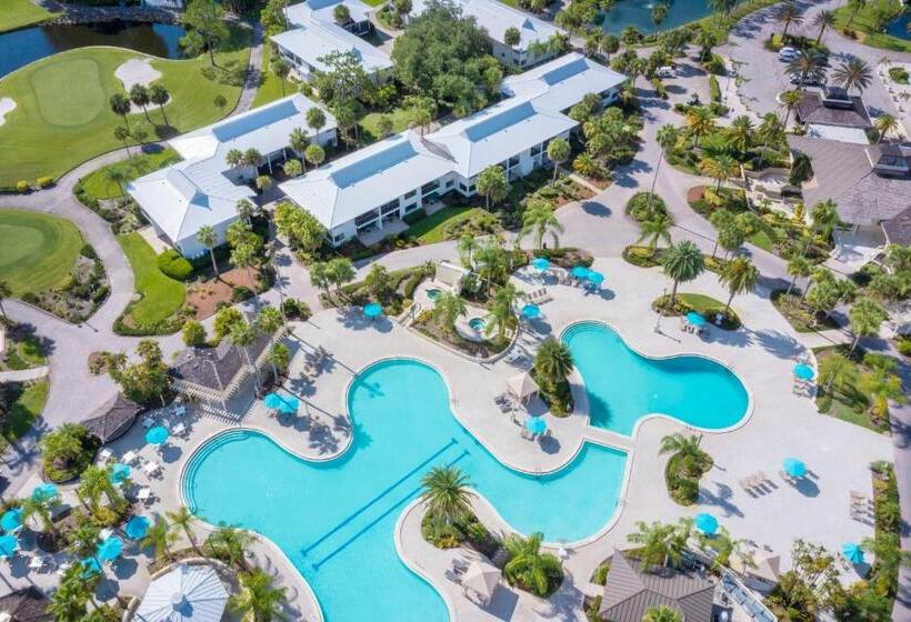Saddlebrook Golf Resort & Spa Tampa North Wesley Chapel