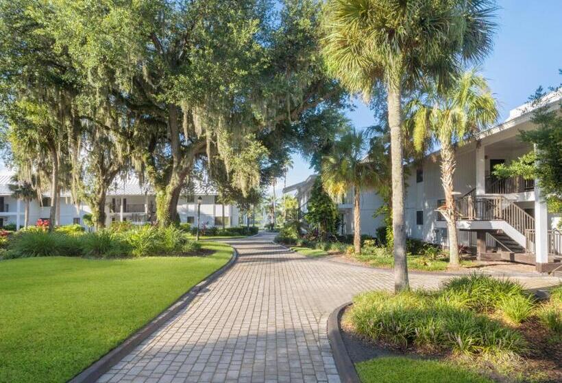 Saddlebrook Golf Resort & Spa Tampa North Wesley Chapel