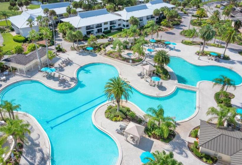 Saddlebrook Golf Resort & Spa Tampa North Wesley Chapel