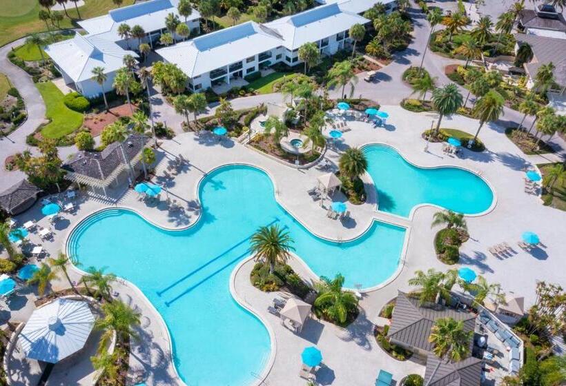 Saddlebrook Golf Resort & Spa Tampa North Wesley Chapel