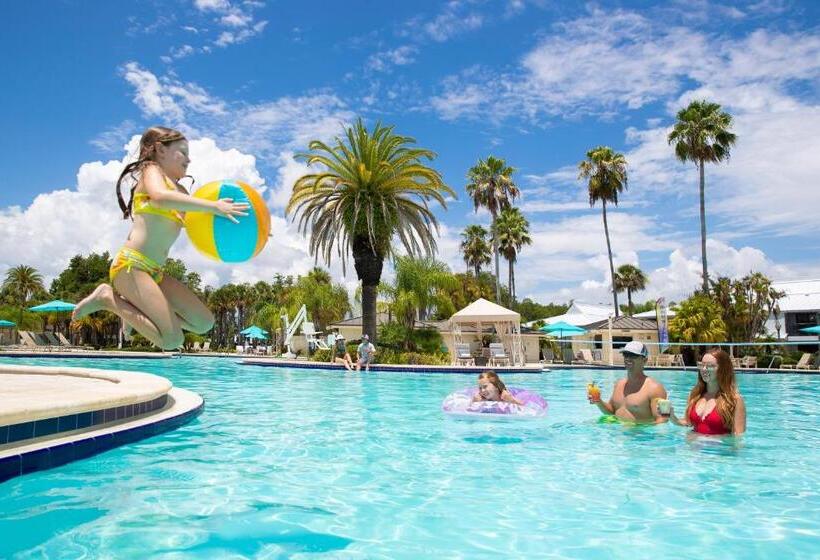 Saddlebrook Golf Resort & Spa Tampa North Wesley Chapel