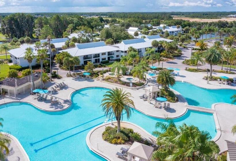 Saddlebrook Golf Resort & Spa Tampa North Wesley Chapel