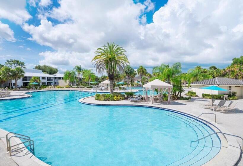 Saddlebrook Golf Resort & Spa Tampa North Wesley Chapel