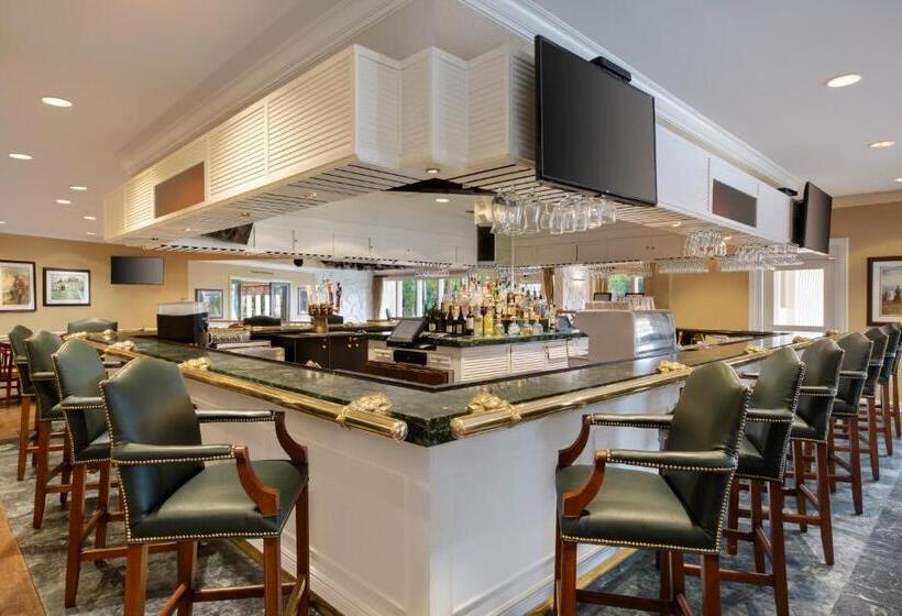 Saddlebrook Golf Resort & Spa Tampa North Wesley Chapel