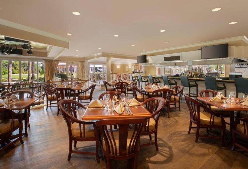 Saddlebrook Golf Resort & Spa Tampa North Wesley Chapel