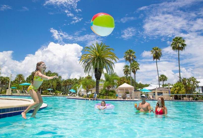 Saddlebrook Golf Resort & Spa Tampa North Wesley Chapel