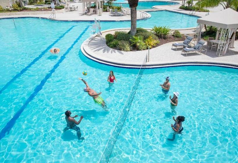 Saddlebrook Golf Resort & Spa Tampa North Wesley Chapel