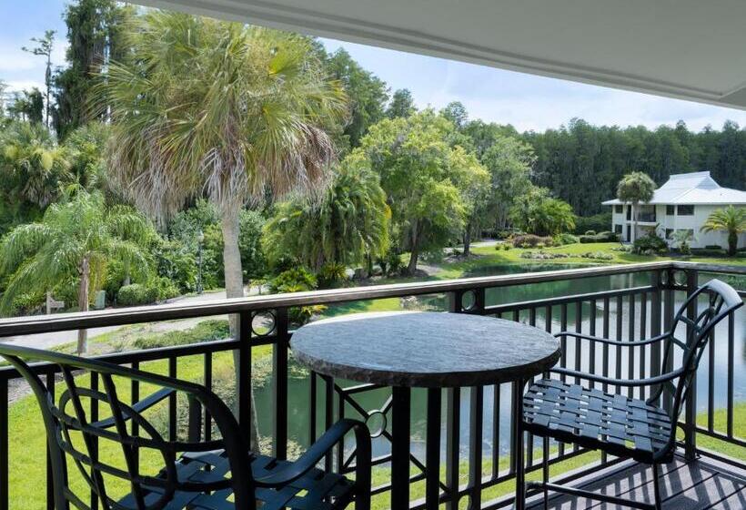 Saddlebrook Golf Resort & Spa Tampa North Wesley Chapel