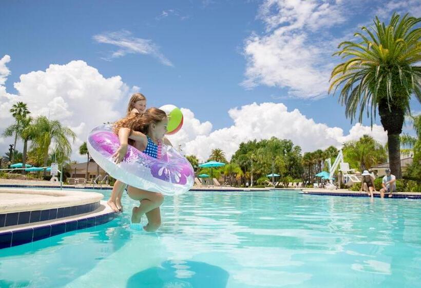 Saddlebrook Golf Resort & Spa Tampa North Wesley Chapel