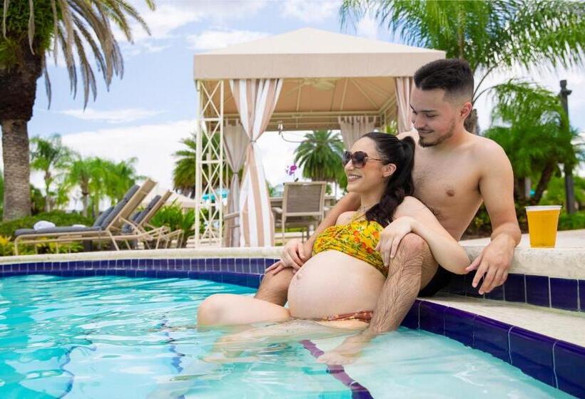 Saddlebrook Golf Resort & Spa Tampa North Wesley Chapel