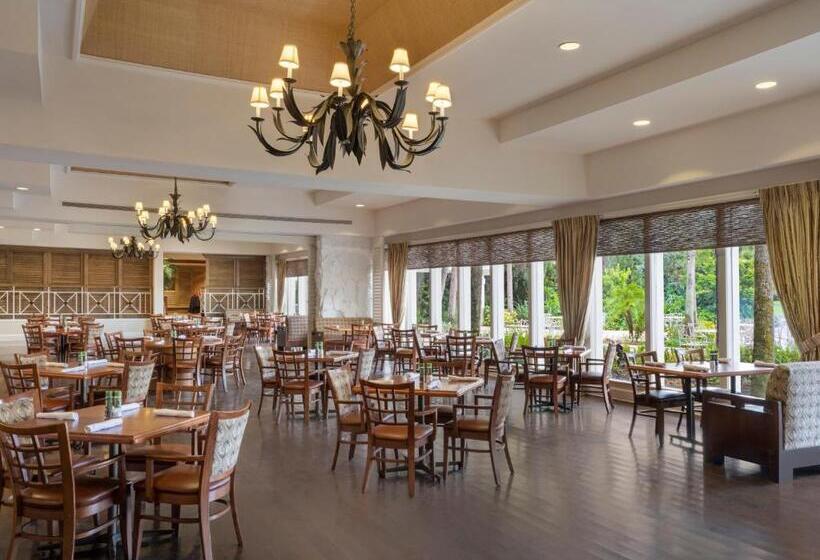 Saddlebrook Golf Resort & Spa Tampa North Wesley Chapel