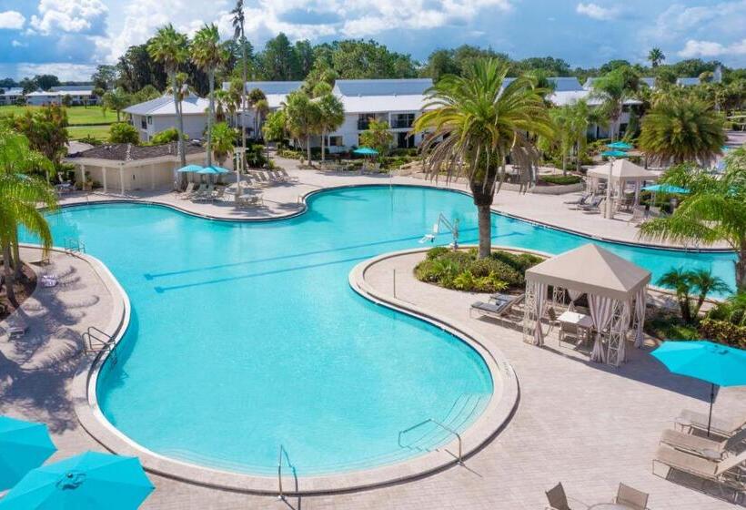 Saddlebrook Golf Resort & Spa Tampa North Wesley Chapel