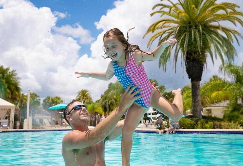 Saddlebrook Golf Resort & Spa Tampa North Wesley Chapel
