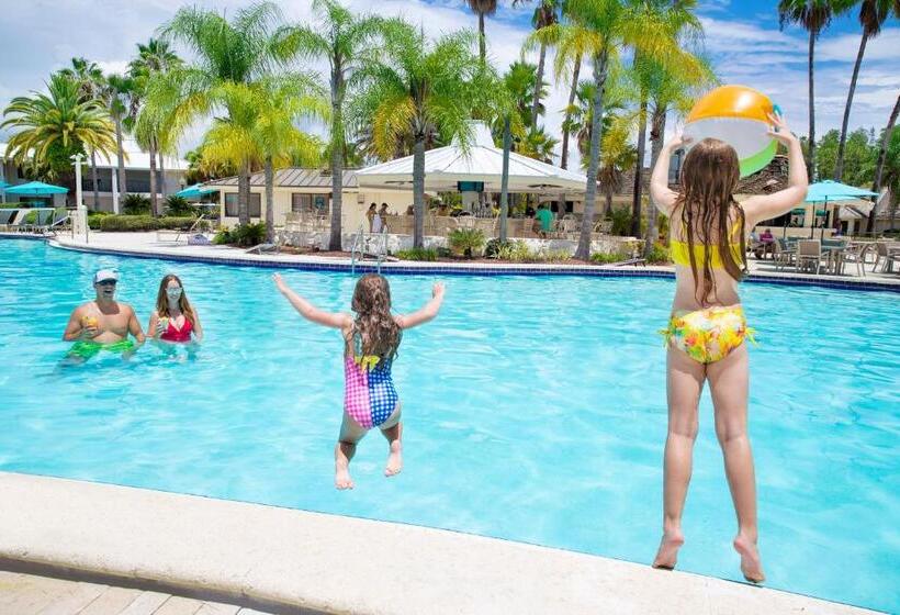 Saddlebrook Golf Resort & Spa Tampa North Wesley Chapel