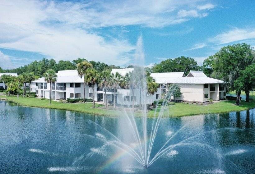 Saddlebrook Golf Resort & Spa Tampa North Wesley Chapel