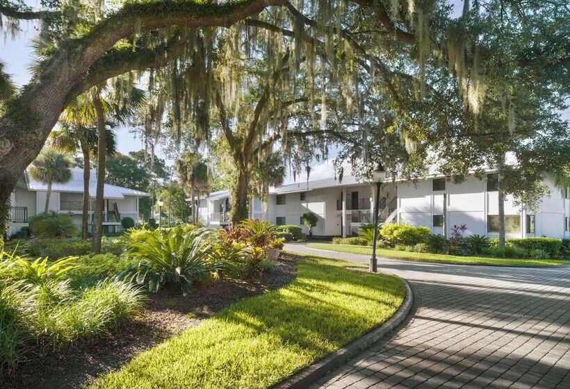 Saddlebrook Golf Resort & Spa Tampa North Wesley Chapel