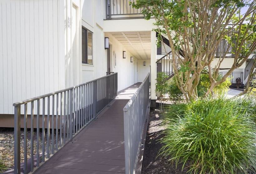 Saddlebrook Golf Resort & Spa Tampa North Wesley Chapel