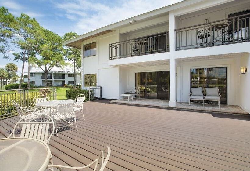 Saddlebrook Golf Resort & Spa Tampa North Wesley Chapel