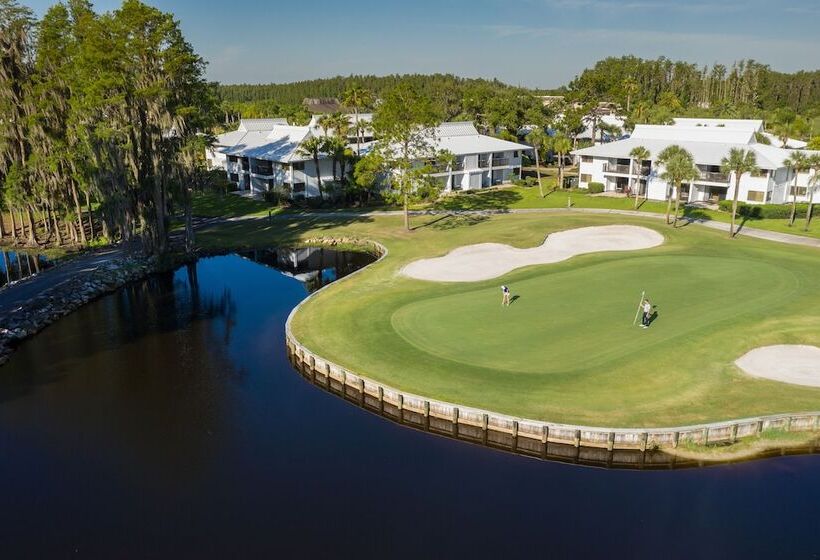Saddlebrook Golf Resort & Spa Tampa North Wesley Chapel