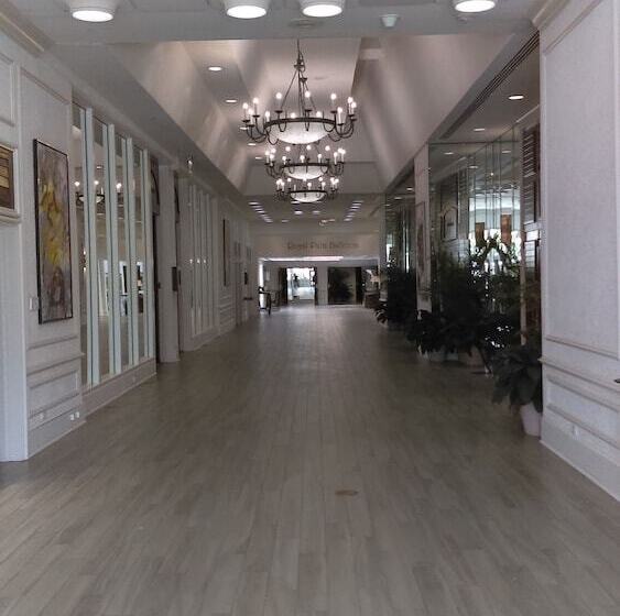 Saddlebrook Golf Resort & Spa Tampa North Wesley Chapel