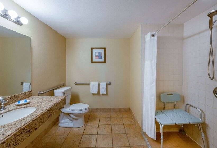 Safety Harbor Resort & Spa Trademark Collection By Wyndham