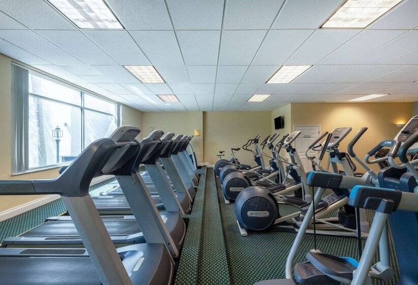 Safety Harbor Resort & Spa Trademark Collection By Wyndham