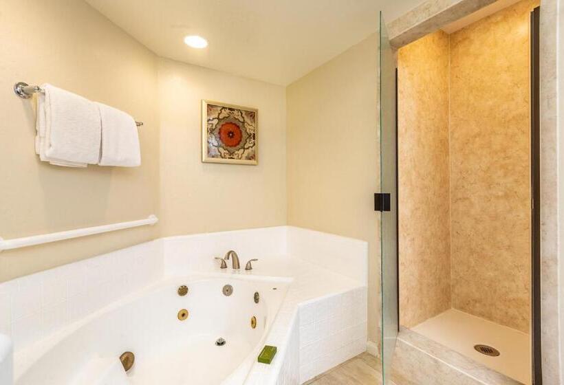 Scottsdale Camelback Resort