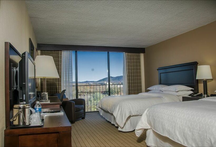 Blue Ridge Hotel and Conference Center