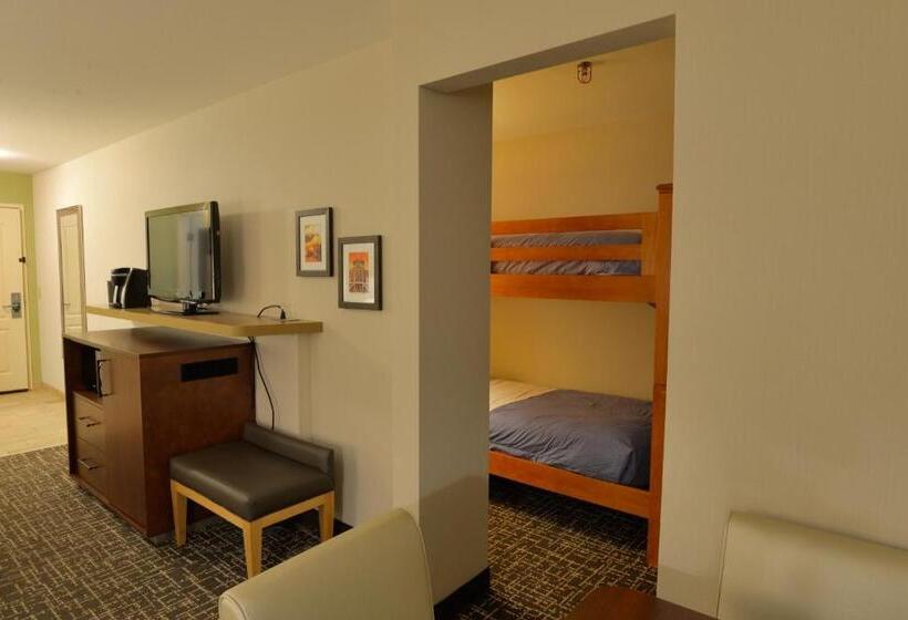 Holiday Inn Hotel & Suites Minneapolis Lakeville, An Ihg