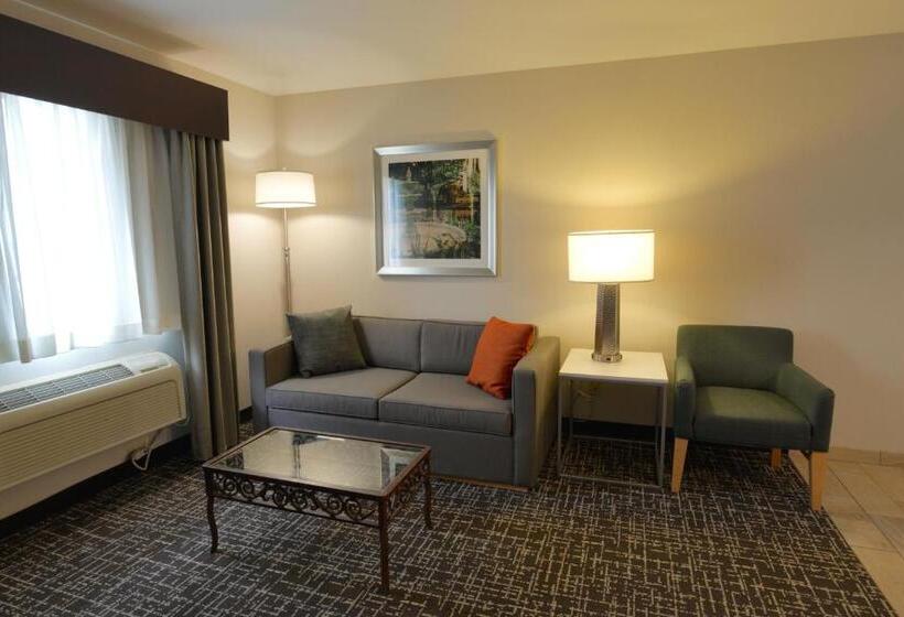 Holiday Inn Hotel & Suites Minneapolis Lakeville, An Ihg