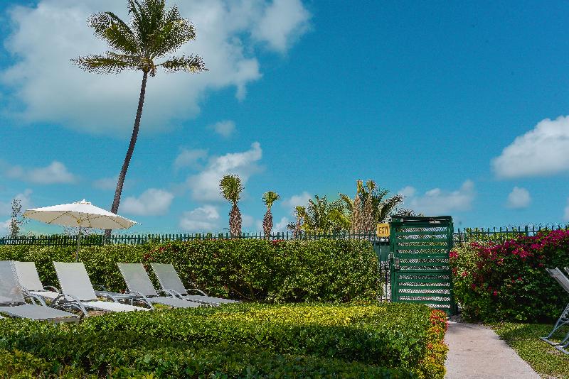 Отель Alexander