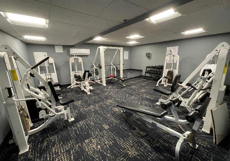 Отель Alexander