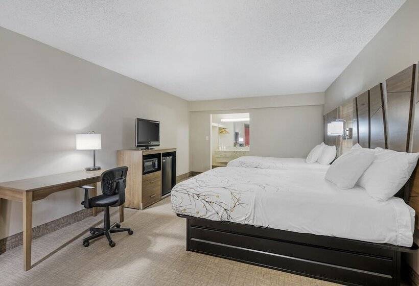 فندق Rodeway Inn