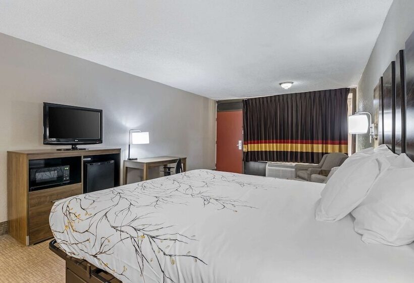 فندق Rodeway Inn