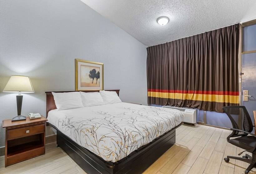 فندق Rodeway Inn