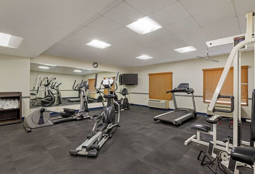 Best Western Plus Executive Hotel Richmond