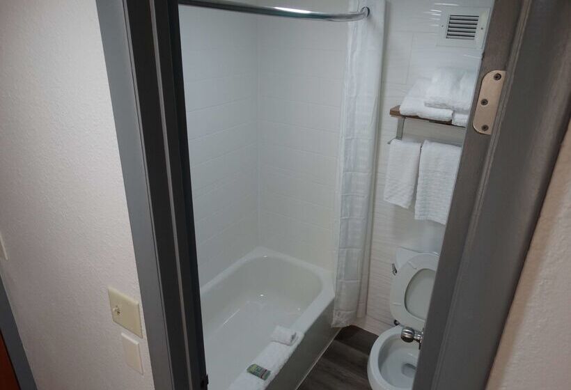 Best Western Plus Executive Hotel Richmond