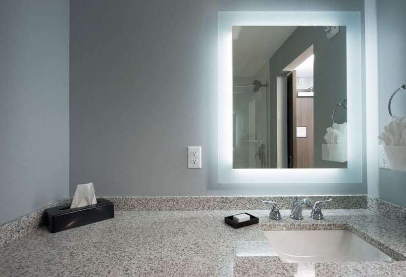 호텔 Best Western Plus Franklin Square Inn