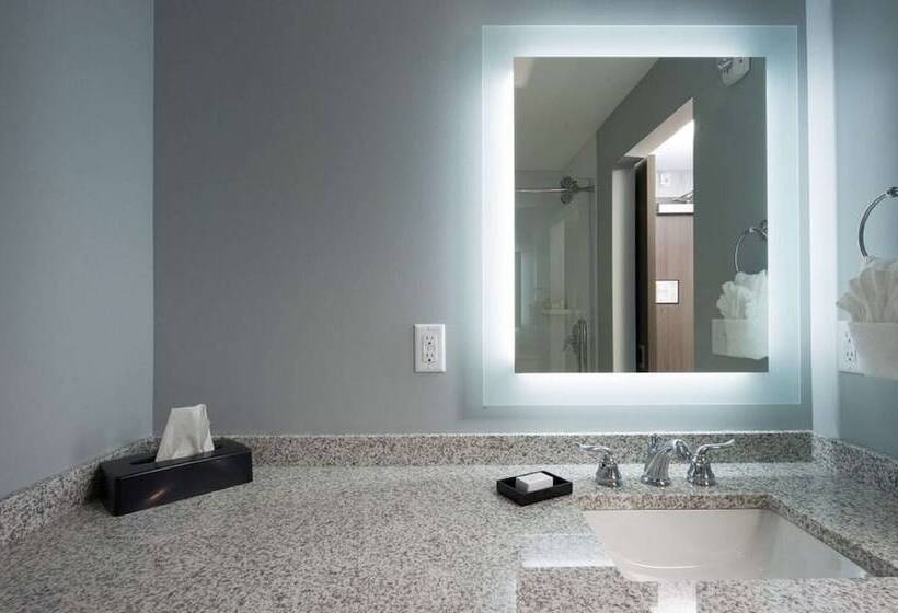 호텔 Best Western Plus Franklin Square Inn