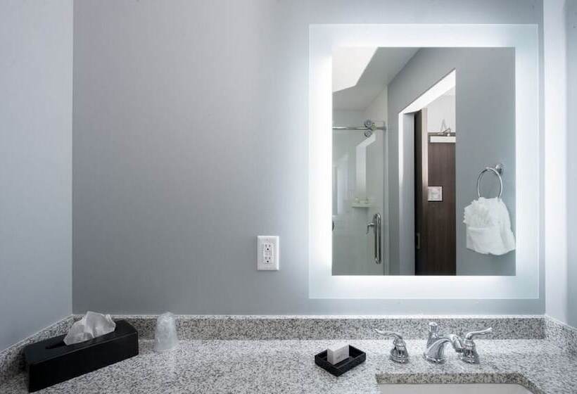 호텔 Best Western Plus Franklin Square Inn