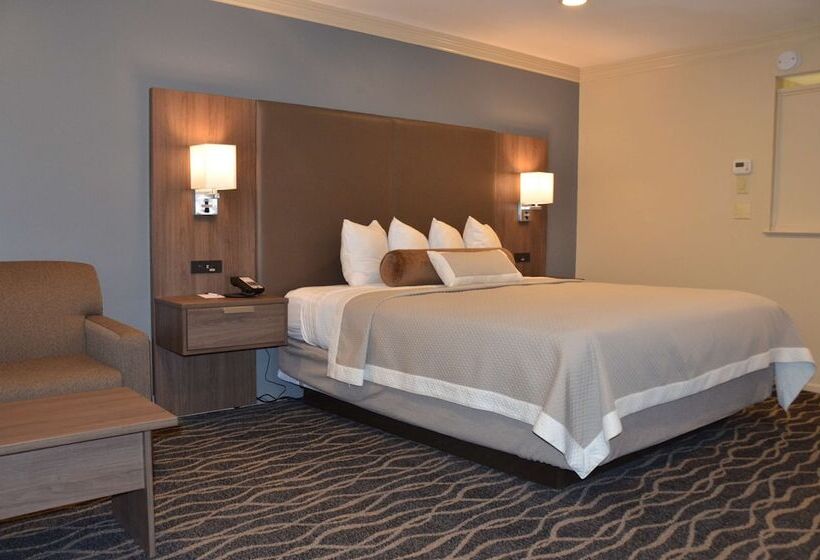 ホテル Best Western Plus Hill House